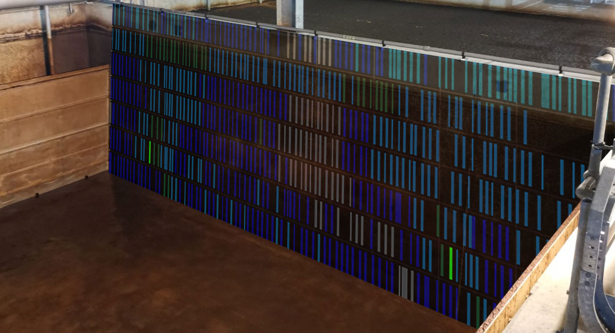 Northern Ireland Water Wall Corosion Diagram